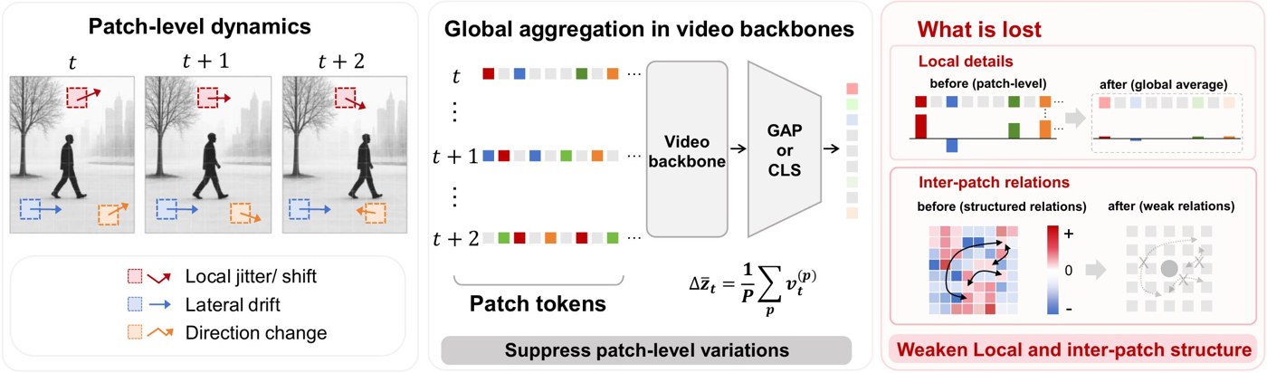 Teaser figure of Rethinking the Readout: the readout is the bottleneck for AI-generated video detection